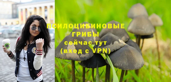 дурь Армянск