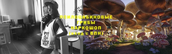 тгк Сатка