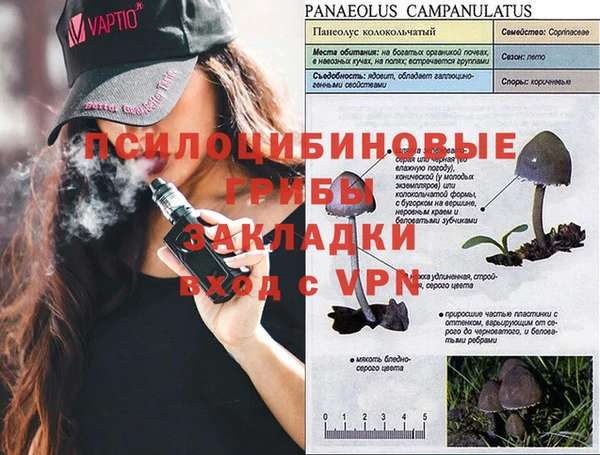 бутират Арсеньев