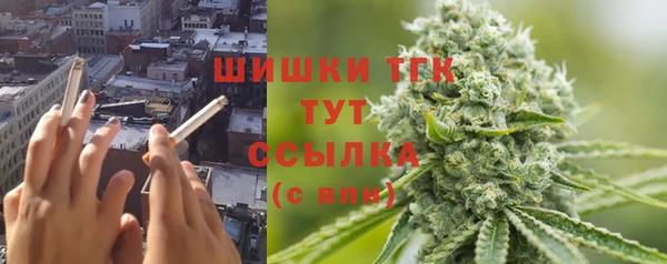 PSILOCYBIN Балахна