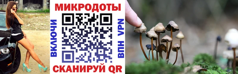 Галлюциногенные грибы GOLDEN TEACHER  закладка  Зима 